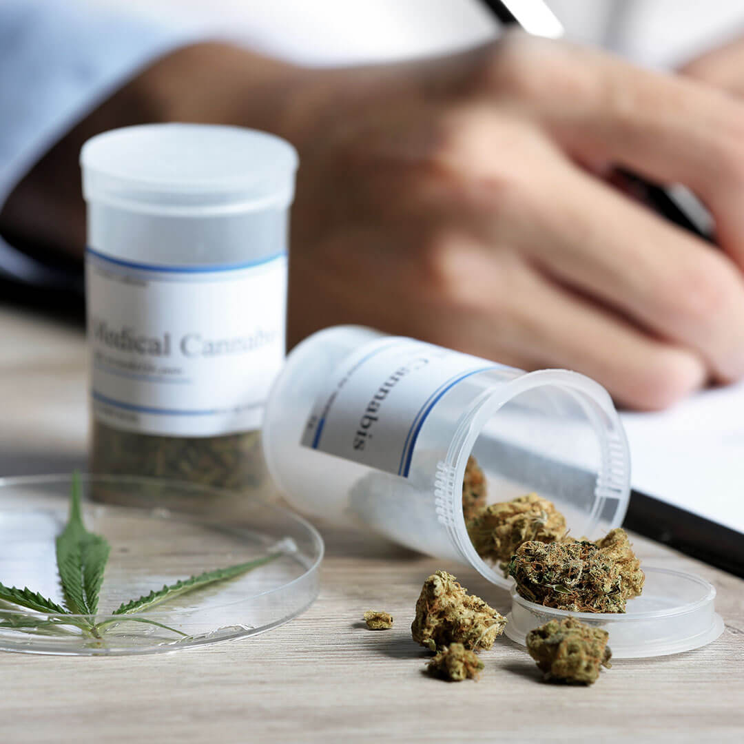 cannabis-verband-startseite-02