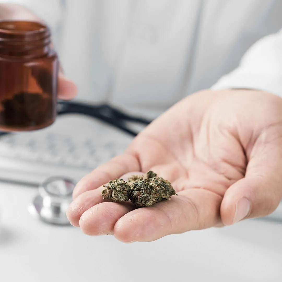 cannabis-verband-startseite-04